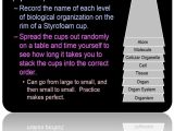 Holt Biology Cells and their Environment Skills Worksheet Answers Also 57 Best Unit 5 Cells Images On Pinterest