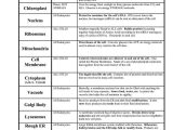 Holt Biology Cells and their Environment Skills Worksheet Answers or 175 Best Biology Images On Pinterest
