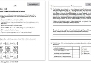 Holt Environmental Science Skills Worksheet Active Reading Answer Key with Hmh Science Dimensions