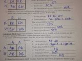 Honors Chemistry Worksheet together with 16 Awesome Worksheet Dna Rna and Protein Synthesis
