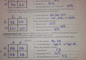 Honors Chemistry Worksheet together with 16 Awesome Worksheet Dna Rna and Protein Synthesis