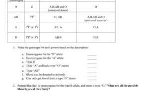Human Blood Cell Typing Worksheet Answer Key Also Multiple Allele Worksheet Human Blood Type Answers Multiplication