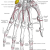 Human Body Worksheets or File Gray219 Pisiform Bone Wikimedia Mons