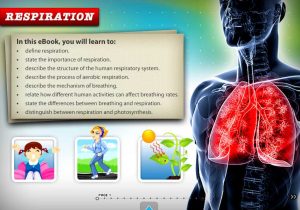 Human Respiratory System Worksheet as Well as App Shopper Respiration School Education