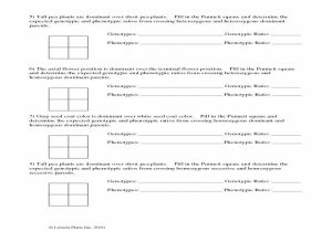 Ibc Code Analysis Worksheet with Punnett Square Worksheet with Answers Worksheet Resume