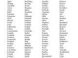 Identify Nouns and Adjectives Worksheets or Resume Adjectives Intoysearch