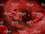 Immortal Cancer Cells Worksheet Answers Also Blood Cells Stock and More Of Bacterium istock