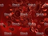 Immortal Cancer Cells Worksheet Answers and Red Blood Cells Stok Fotoraflar and bytmnin Daha Fazla Re