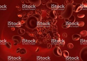 Immortal Cancer Cells Worksheet Answers and Red Blood Cells Stok Fotoraflar and bytmnin Daha Fazla Re