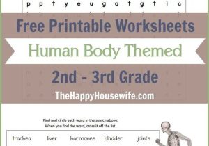 Improving Body Image Worksheets with 228 Best Science Human Body Images On Pinterest