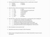 In the Womb National Geographic Worksheet Answer Key Also Perfect Dna Matching Worksheet – Sabaax