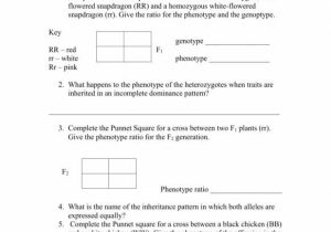 Incomplete Dominance and Codominance Practice Problems Worksheet Answer Key Along with Worksheet Templates Punnett Square Practice Problems Multiple
