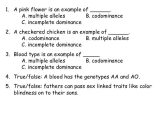Incomplete Dominance and Codominance Practice Problems Worksheet Answer Key with Multiple Allele Worksheet Switchconf Multiple Alleles Practice