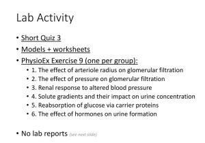 Independent and Dependent Clauses Worksheet and Renal Physiology Laboratory Exercise Kaap Ppt Video Online D