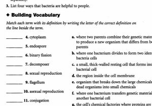Infectious Disease Worksheet Middle School or Excel Spreadsheet Training Free or Excel Primary School Activity