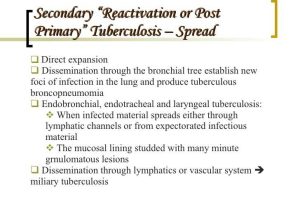 Infectious Disease Worksheet Middle School together with Infectious Diseases 12