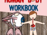 Inside the Living Body Worksheet Answers as Well as the Human Body Workbook