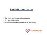 Insulin to Carb Ratio Worksheet as Well as Nsln Metabolzmasi Ppt Indir