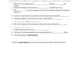 Integrated Science Cycles Worksheet Answer Key Along with the Carbon Cycle Worksheet Answers Worksheet Math for Kids
