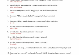 Integrated Science Cycles Worksheet Answer Key with Worksheets 49 Beautiful Cell Membrane Coloring Worksheet Answers Hd