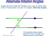 Interior and Exterior Angles Worksheet with Exterior Angle theorem Worksheet Lovely Worksheets Exterior Angles