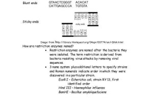 Introduction to Biotechnology Worksheet Answers Along with Biotechnology Timeline