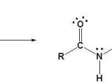 Introduction to Chemical Reactions Worksheet Also Acid Anhydrides React with Amines to form Amides Chemwiki