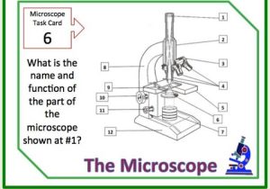 Isotopes Worksheet Answers as Well as 900 Best the Science Classroom Images by the Ardent Teacher On
