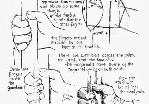 Joints and Movement Worksheet as Well as How to Draw Worksheets for the Young Artist How to Draw A Hand