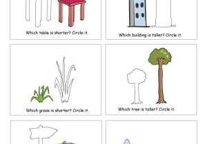 Kindergarten Measurement Worksheets and Free Printable Worksheets On Measuring Sizes Tall and Short