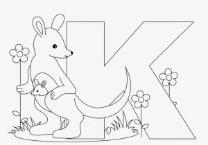 Kindergarten Science Worksheets and Coloring Pages Kangaroos whobar