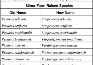 Kingdom Classification Worksheet Answers and topic 5 3 Classification Of Biodiversity Amazing World Of Science