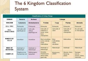Kingdom Classification Worksheet Answers as Well as Kingdom Classification Worksheet Choice Image Worksheet Math for Kids