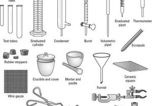 Lab Equipment Worksheet Answers Also Diagram Of Mon Lab Equipment Such as An Erlenmeyer Flask Beaker