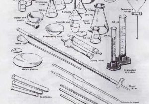 Lab Equipment Worksheet Answers and 62 Best Lab Glassware Images On Pinterest
