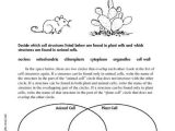 Label Plant Cell Worksheet as Well as 21 Best Grade 5 Science Standard 7 Images On Pinterest