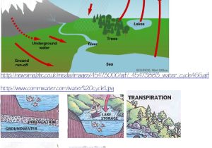 Label the Water Cycle Worksheet together with Water Cycle Coloring Sheet Heathermarxgallery