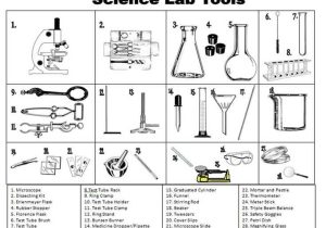 Laboratory Equipment Worksheet with 132 Best Safety In the Science Lab Images On Pinterest