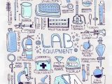 Laboratory Equipment Worksheet with 543 Best Mlt ascp Scientist Images On Pinterest