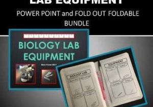 Laboratory Equipment Worksheet with Biology Lab Equipment Power Point and Graphic organizer Foldable for