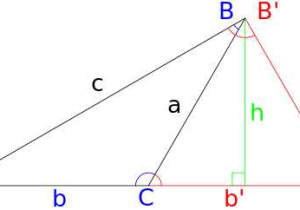 Law Of Sines Ambiguous Case Worksheet Also Law Of Sines