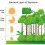 Layers Of the Rainforest Worksheet Along with Climate and Ecosystems the Geographer Online