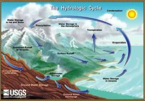 Layers Of the Rainforest Worksheet with Kraynaksciencewiki Hydrosphere Team Page