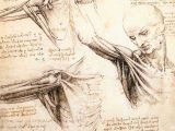 Leonardo Da Vinci Inventions Worksheet with 11 Best Leonardo Images On Pinterest