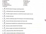Levels Of organization Worksheet Answers or Schön Answer Key to Laboratory Manual for Anatomy and Physiology