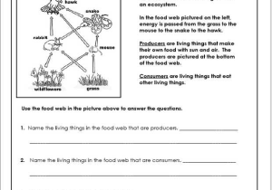 Like Kind Exchange Worksheet and Food Chain Quiz Worksheet Worksheets for All