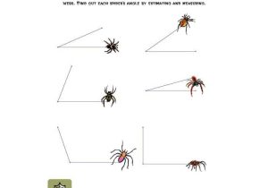 Lines and Angles Worksheet or Halloween Math Worksheet Measuring Spider Web Angles