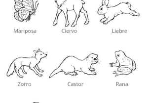 Los Animales Printable Worksheets Along with Animales Bosque Animales Del Bosque Pinterest