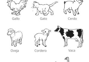 Los Animales Printable Worksheets as Well as 67 Best En Espa±ol Images On Pinterest