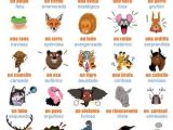 Los Animales Printable Worksheets together with Emociones Y Animales Media Qualidad 8 Spanish